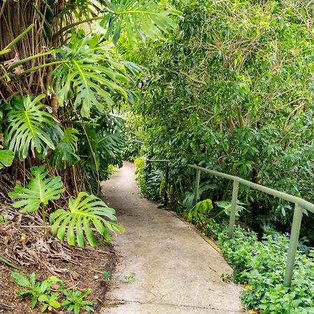 Hatea Treehouse Whangarei Eksteriør bilde